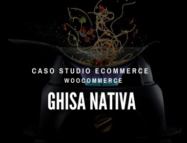 Ghisa Nativa Caso studio migrazione SEO e Digital PR: Ghisanativa