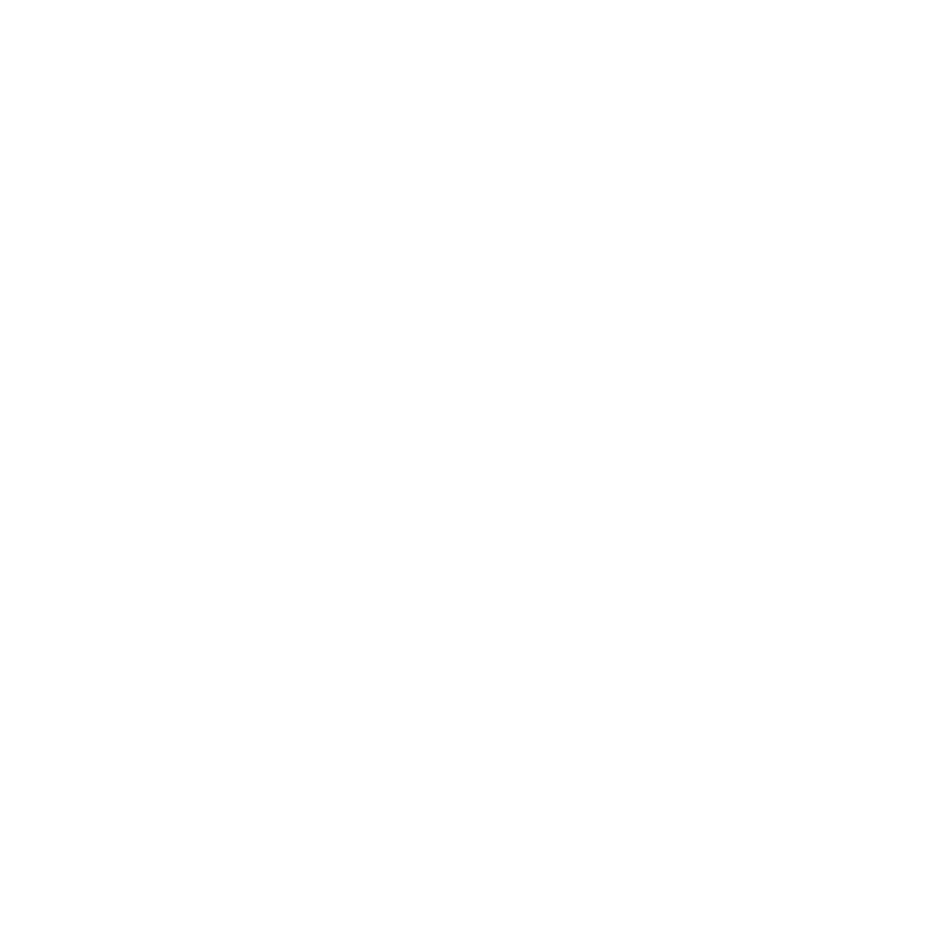 castellani logo white