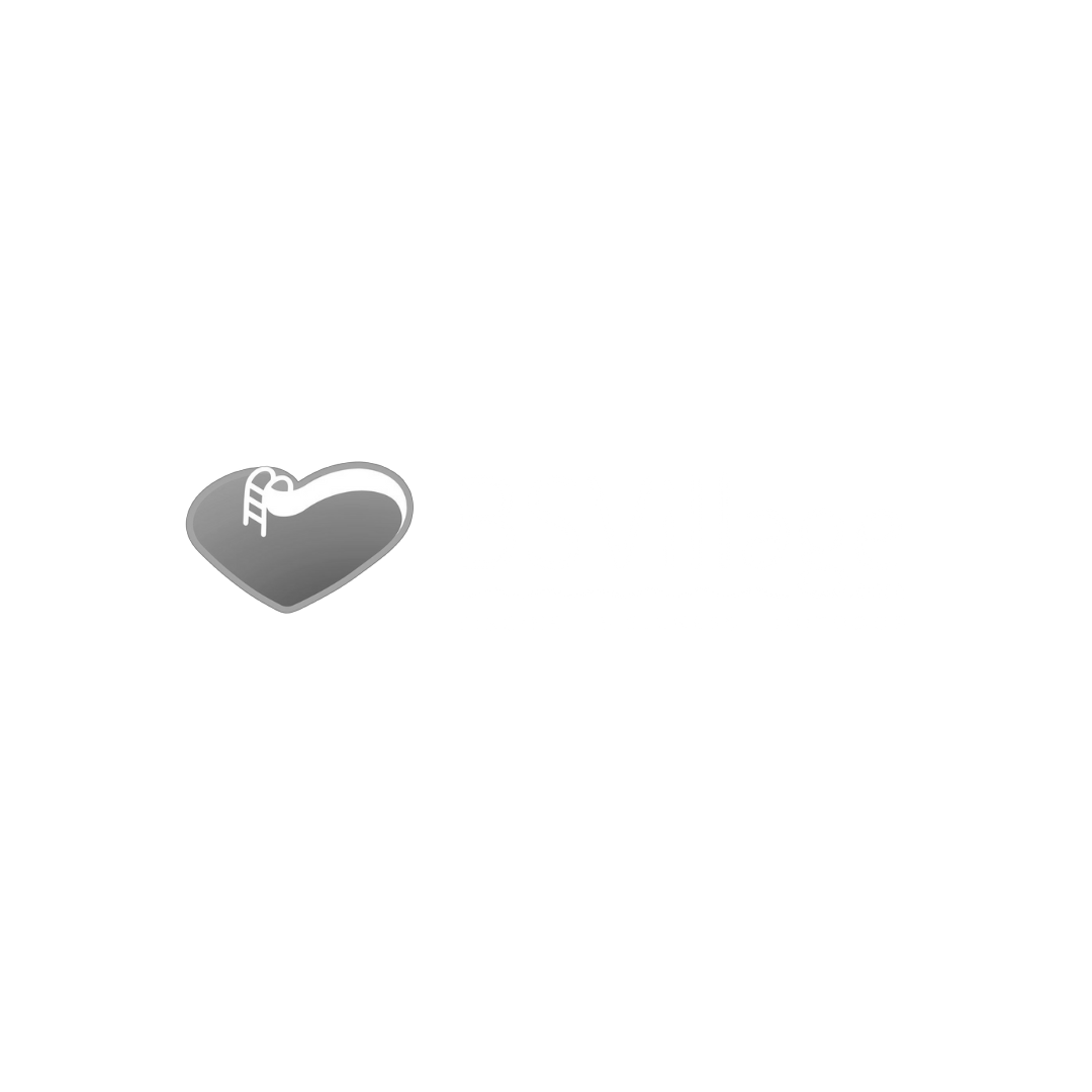 BS Village