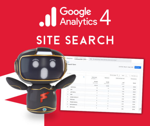 google site search